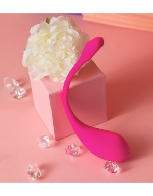 Lush 2 Lovense – Œuf vibrant connecté ultra puissant pour plaisirs à distance