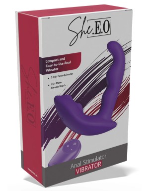 Stimulateur Anal Vibrant – Silicone IPX7, Télécommande & 10 Modes